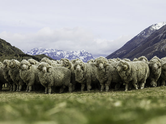 Pour la Fête des Pères offrez notre nouvelle E-carte cadeau 🐏